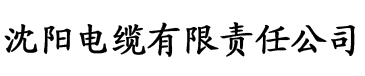 秋霞电影院网伦霞欧美片电缆厂logo